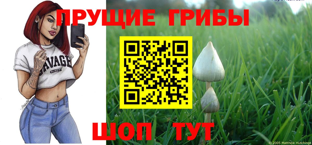 Галлюциногенные грибы GOLDEN TEACHER Киселёвск